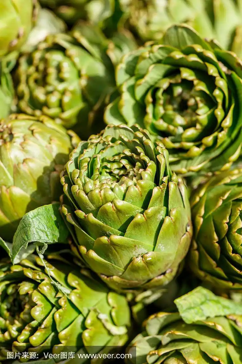 朝鲜蓟,菜园,绿色,侧面,小的