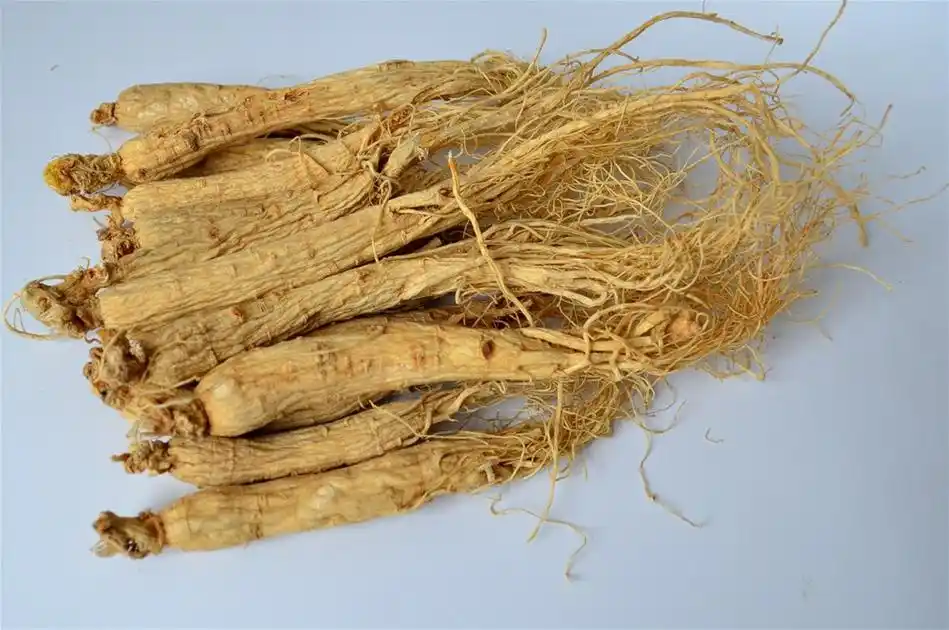 挑选人参的小妙招 - 早旭经验网