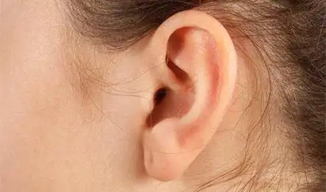 三种有福招财的耳朵是什么样子的 三种有福招财的耳朵-善吉网