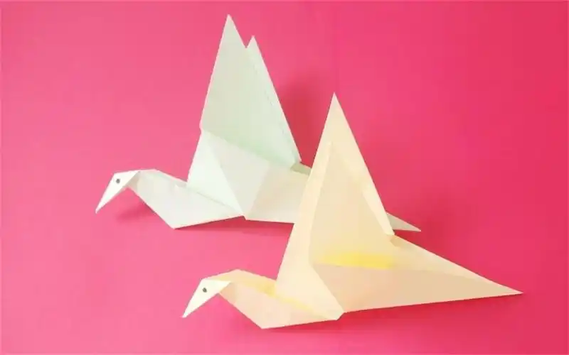 活动  1分钟折会飞的小鸟,孩子爱不释手太好玩了,手工折纸视频教程