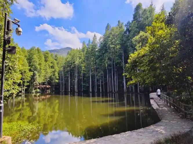 大自然的爱抚如此热烈#信阳波尔登森林公园  #小众景点