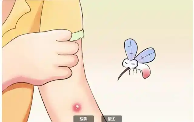 天气一变好,蚊子,苍蝇就开始出来"复工"了.