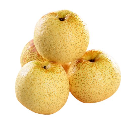 泽鲜达天山雪梨新疆冰糖雪梨新鲜水果应当季水果梨 5斤 单果250g