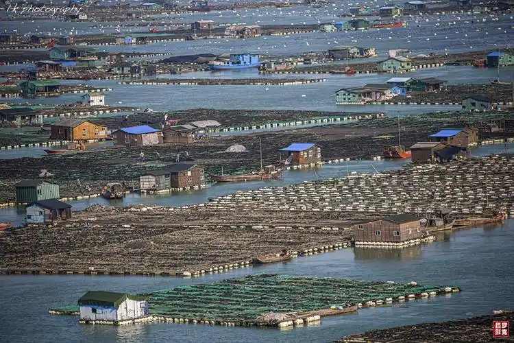 福建.霞浦-东安渔排/原创摄影 - 罗克 - 用相机摄画 用相片说话