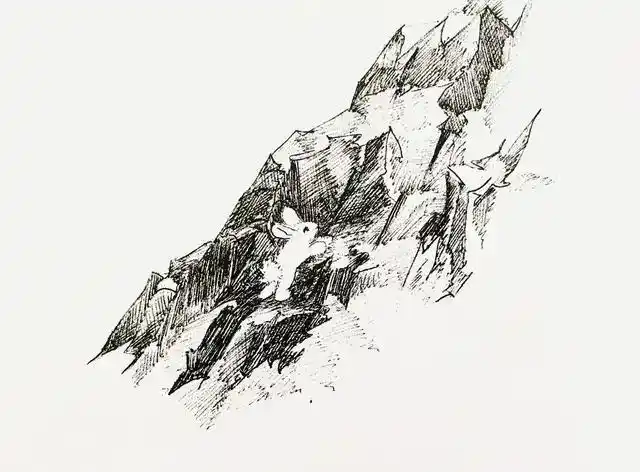 世界上最难画的兔子(艺术家奇思妙想画兔子)(5)