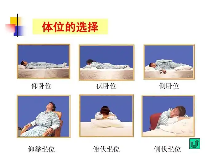 体位的选择 仰卧位 伏卧位 侧卧位 仰靠坐位 俯伏坐位 侧伏坐位