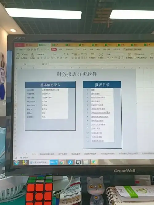 熬了整整七天编制出的财务报表分析系统,含杜邦分析和成本倒轧表