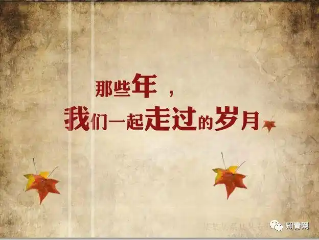 一位老朋友写的诗词,五十年聚会,同窗情,四十首,精美绝伦!