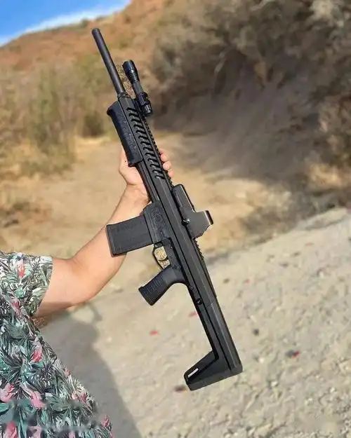 【又见黑水】sentry 12霰弹枪图集