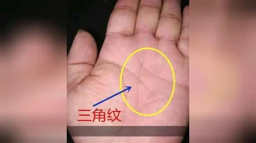 这个是不是m手纹你好,左手还是右手女人m手纹是什么意思,如果感情线上