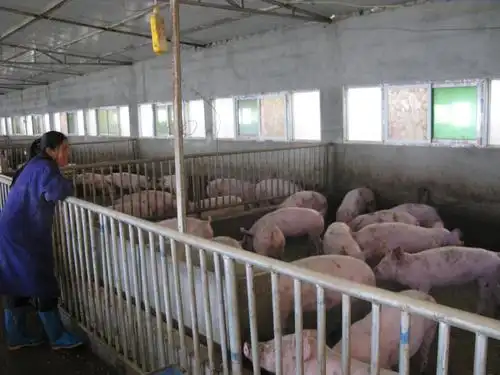 现代农业前景广财政支农见成效