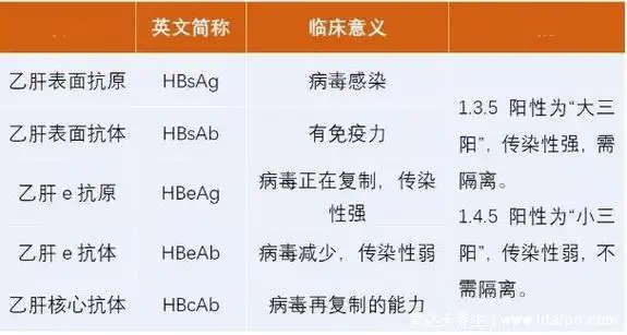 大三阳和小三阳区别,往往肝硬化肝癌都来自小三阳(附乙肝五项正常结果