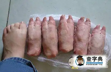 6根猪蹄,没错啊 - 搞笑图片 - 查字典