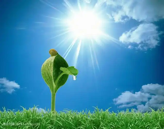 世上只有边缘化的态度,没有边缘化的人生