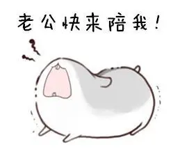 老公我的了好玩搞笑逗乐gif动图_动态图_表情包下载_soogif