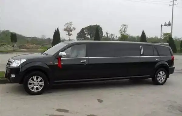 国内还有不少自主品牌推出过加长版车型,比如奇瑞的东方之子礼宾车