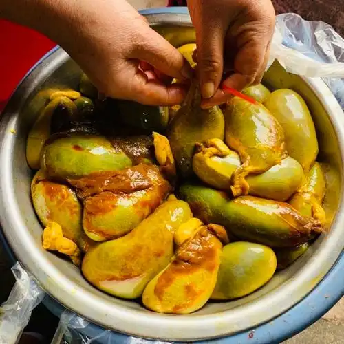 完整新鲜猪胆 新鲜猪胆猪苦胆 猪胆汁【真空包装】