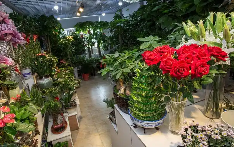 花店内部合理布局,鲜活花品及绿植全部摆放在店面靠内,控制温度充分