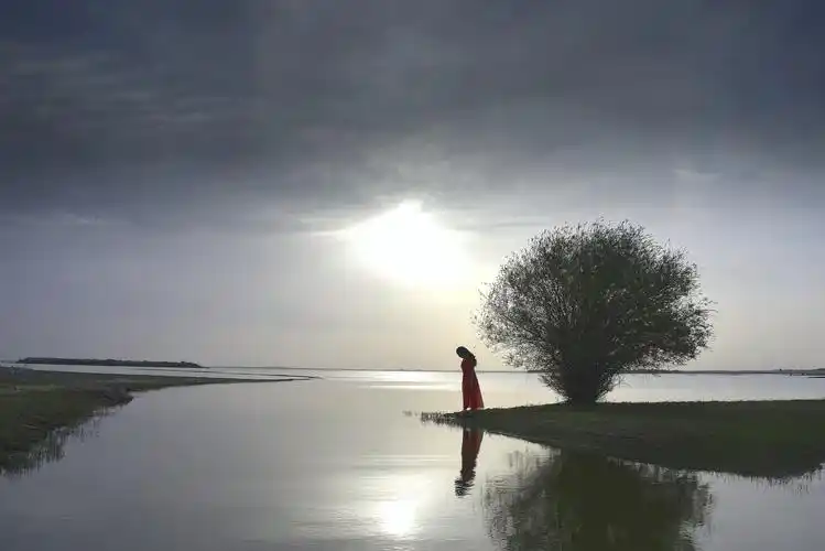 有一种风景叫心静