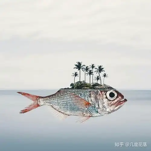 请问有没有好看的鱼图片或者头像? - 知乎