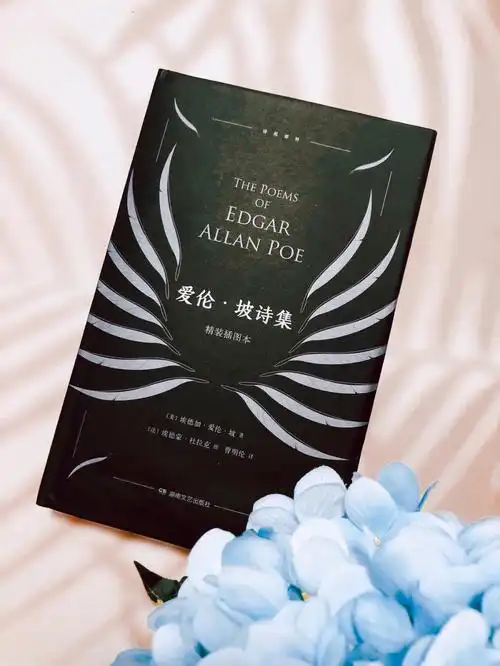 诗集谁能拒绝一首安娜贝尔李呢01