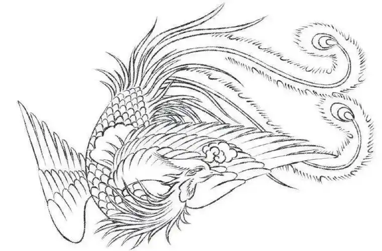 【国画教程】教你如何画凤凰_步骤_牡丹_羽毛