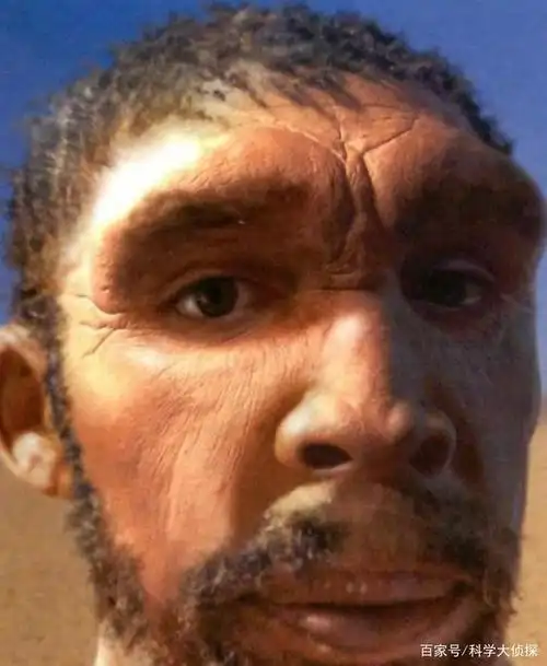 从猴子演变成人,这五百年的历史非常奇妙!