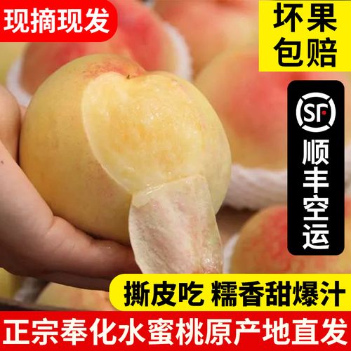正宗宁波奉化水蜜桃特惠礼盒装超大甜桃子新鲜水果现摘湖景玉露桃
