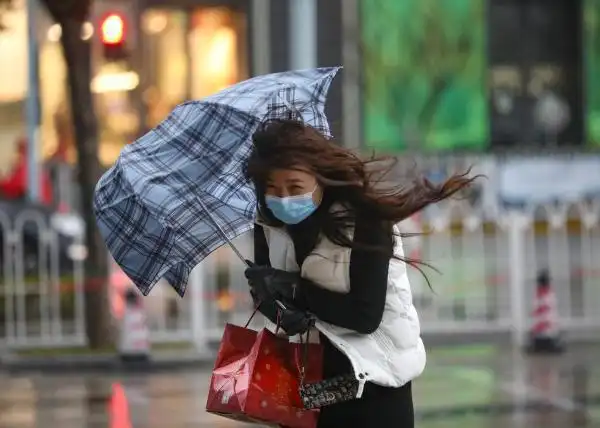 真的冷寒潮前锋抵达上海市区大风冷雨落叶满地