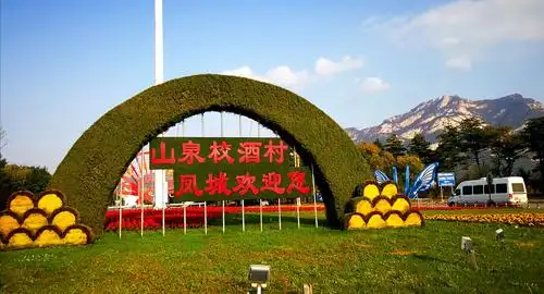 丹东凤城市大梨树村