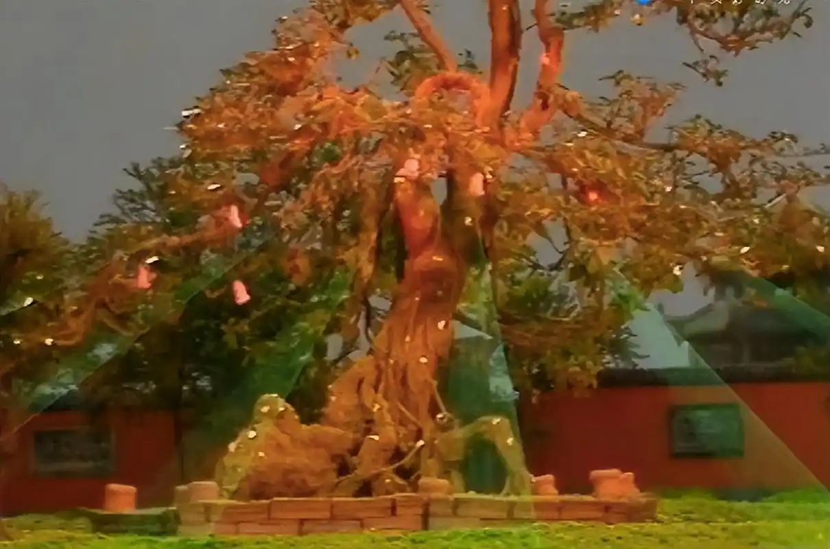 《西游记》中大闹五庄观推倒人参果树的是谁?