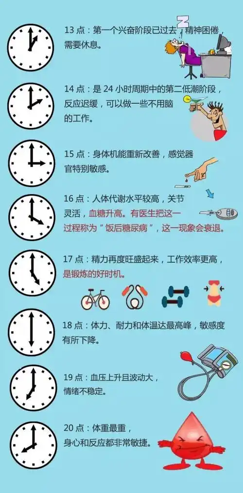 24小时人体生物时刻表