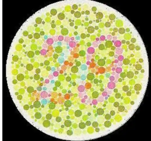 别急着驾考这5个盘子能看出色彩再说否则卡在体检就尴尬了