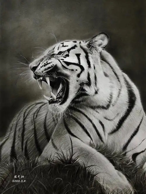 素描动物老虎虎年大吉虎虎生威