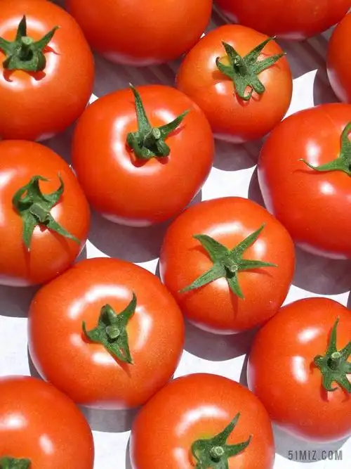 茄果类图片大全-茄果类高清图片下载-觅知网