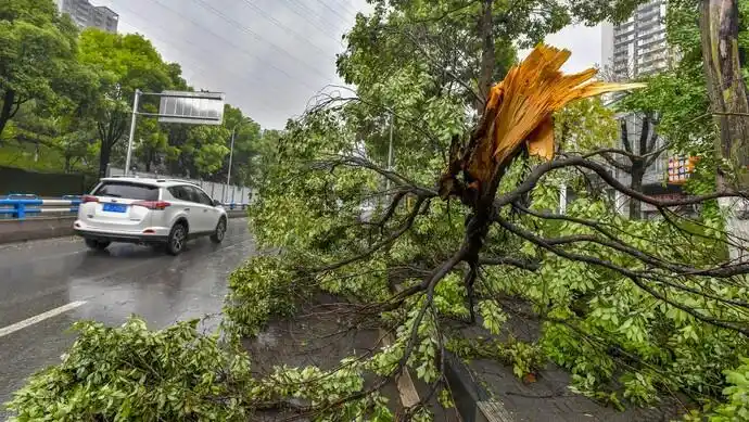紧急13级大风近40万户停电多地遇极端天气