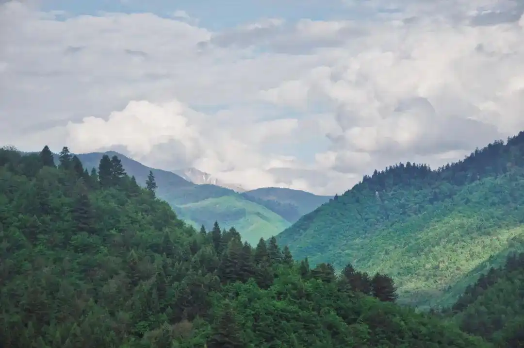 voyage │ 逝川与流光,飘忽不相待