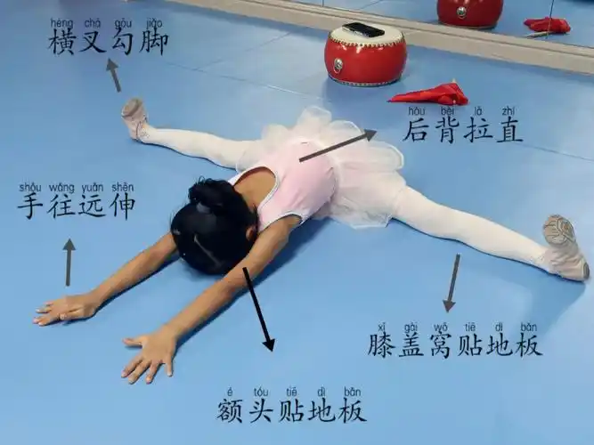 舞蹈基本功入门训练初级耗叉到进阶基本功