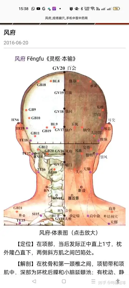 头部后脑勺穴位