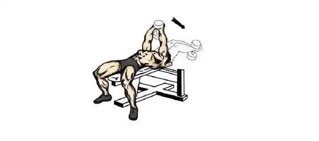 一组哑铃训练,在家锻炼身体各个肌群,促进肌肉生长!