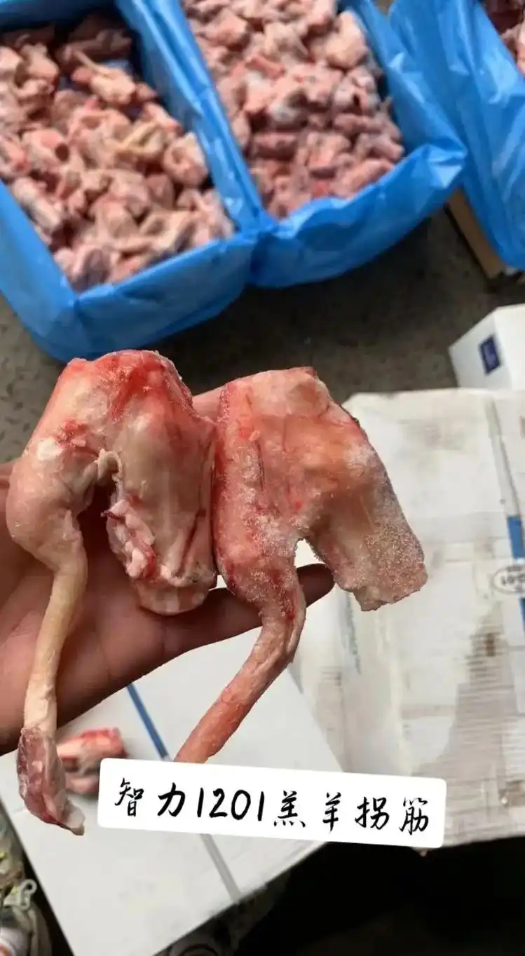 牛羊肉冻品推荐↓↓↓全部开箱实拍.羔羊拐筋国产羊净肚精修 - 抖音