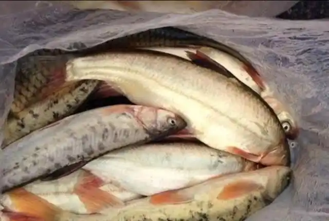 依据是什么?到底可不可信