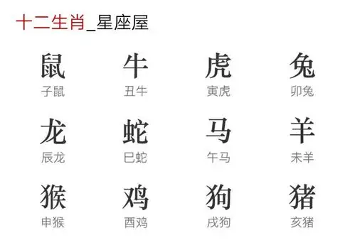 记忆12生肖