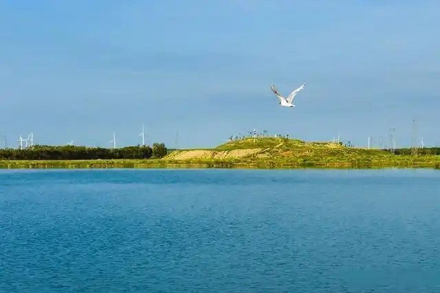 中国遗鸥之乡——康保县康巴诺尔国家湿地公园采风散记
