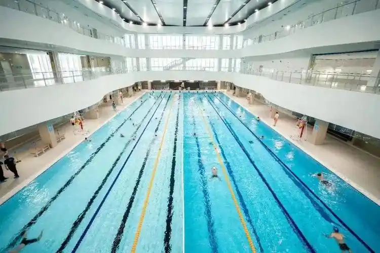 上海游泳馆内景. 本文图片来源:上海体育