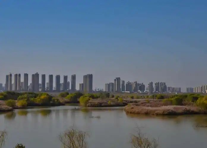 初冬季节――西安渭河湿地公园景色迷人