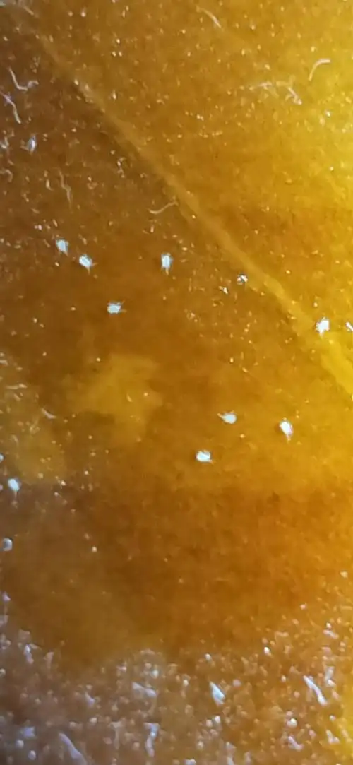 木质床上的这种白色小虫是什么