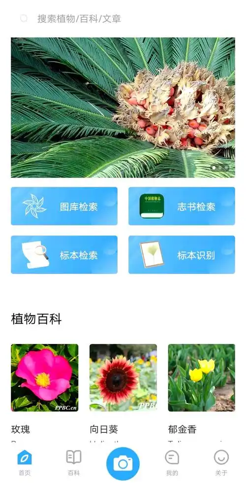 植物智app花伴侣专业版植物识别与志书图片标本检索应用
