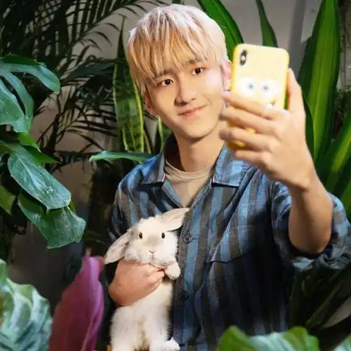 微信头像r1se赵让