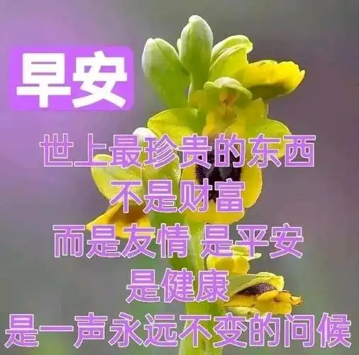 有一种心绪,总会在每天清晨打开,成就了我们追求希望梦想,早安